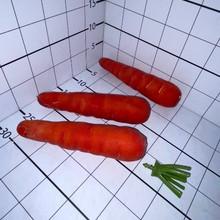 Морковь пластик