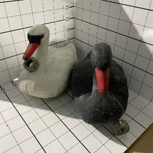 Лебеди для бассейна