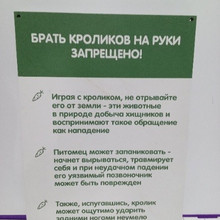 Правила кролики 30*42см