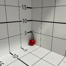 Вишня