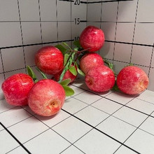 Яблоки на ветке